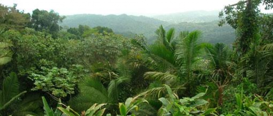 el yunque